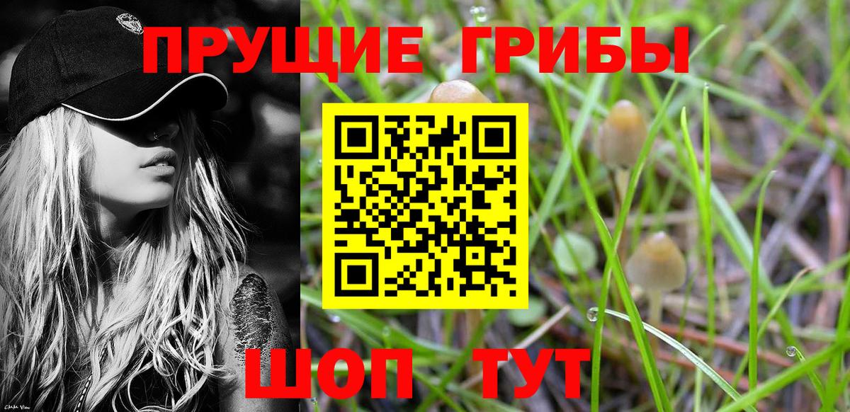Псилоцибиновые грибы мицелий Карасук