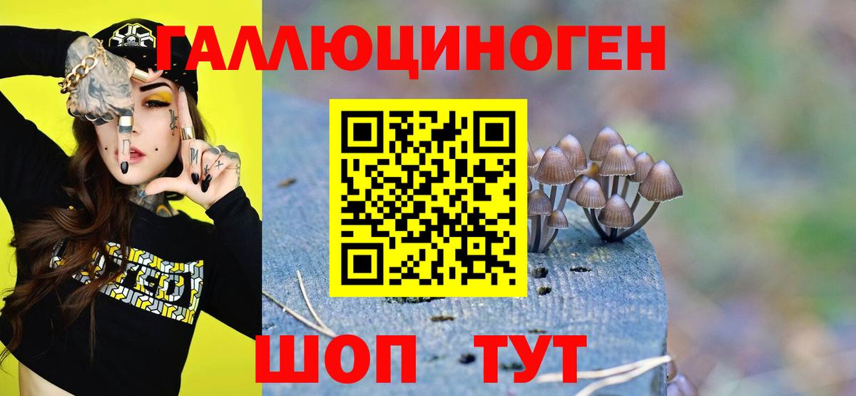 Карасук  Псилоцибиновые грибы GOLDEN TEACHER  Вход с VPN 